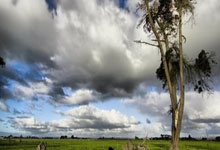 QQ斗地主为啥这么受欢迎？